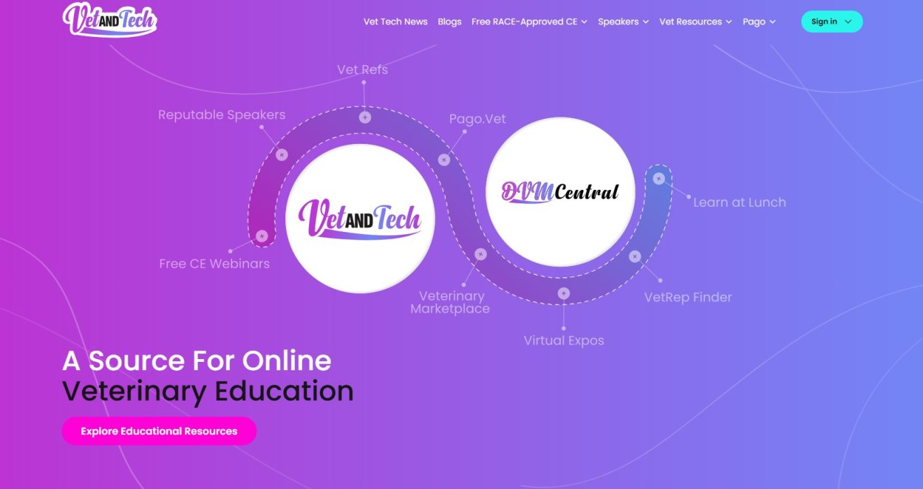 Vet and Tech SEO project